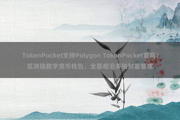 TokenPocket支持Polygon TokenPocket官网：区块链数字货币钱包，全面相沿多链财富管理