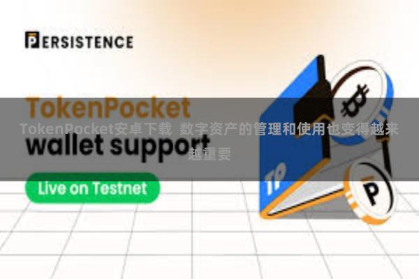 TokenPocket安卓下载  数字资产的管理和使用也变得越来越重要